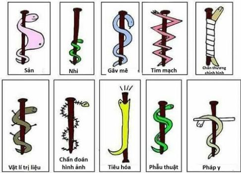 C&aacute;c biểu tượng ng&agrave;nh Y