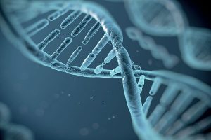 Đề thi thử THPT Quốc Gia môn Sinh học năm 2020 có đáp án