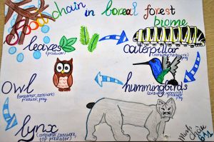 Đề thi thử THPT quốc gia năm 2020 môn Sinh học năm 2020