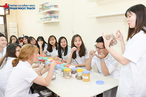 Dược sĩ Cao đẳng l&agrave; g&igrave;?