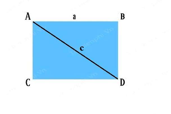 T&iacute;nh diện t&iacute;ch h&igrave;nh chữ nhật khi biết đường ch&eacute;o v&agrave; 1 cạnh