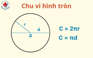Công thức tính chu vi, diện tích hình tròn và bài tập áp dụng