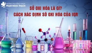 Số Oxi hóa là gì? Cách xác định số Oxi hóa của ion