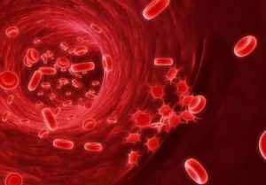 Máu khó đông: Nguyên nhân, triệu chứng, cách điều trị bệnh