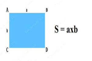 Công thức tính chu vi và diện tích hình chữ nhật kèm ví dụ
