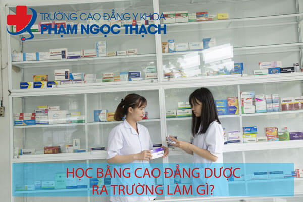 Học cao đẳng Dược ra l&agrave;m g&igrave;?