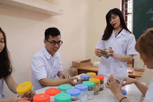 Học ngành dược sĩ thi khối nào?