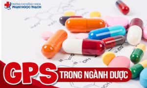 GPs trong ngành Dược là gì? Quy trình đánh giá và cấp chứng nhận